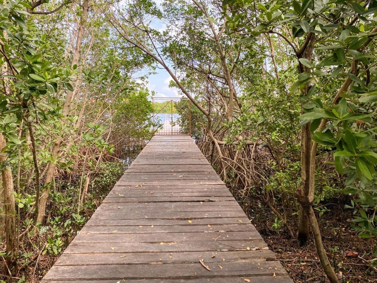 Villa Angela Isla Mujeres Ngoại thất bức ảnh