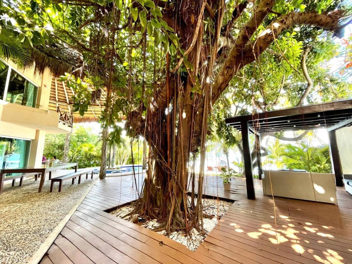 Villa Angela Isla Mujeres Ngoại thất bức ảnh